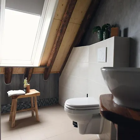 Near Dutch And Dunes *