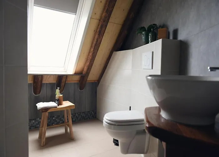 Near Dutch And Dunes *