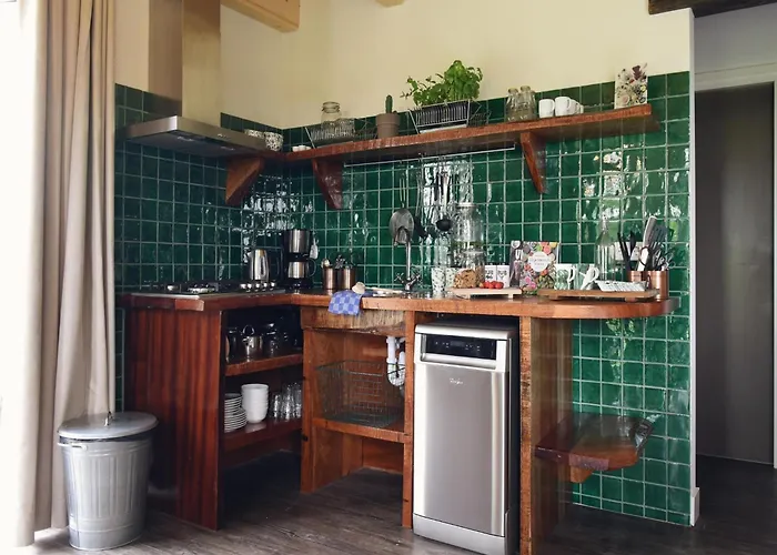 Near Dutch And Dunes Appartamento