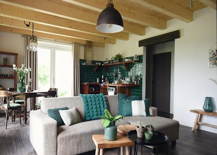 Near Dutch And Dunes Appartamento *